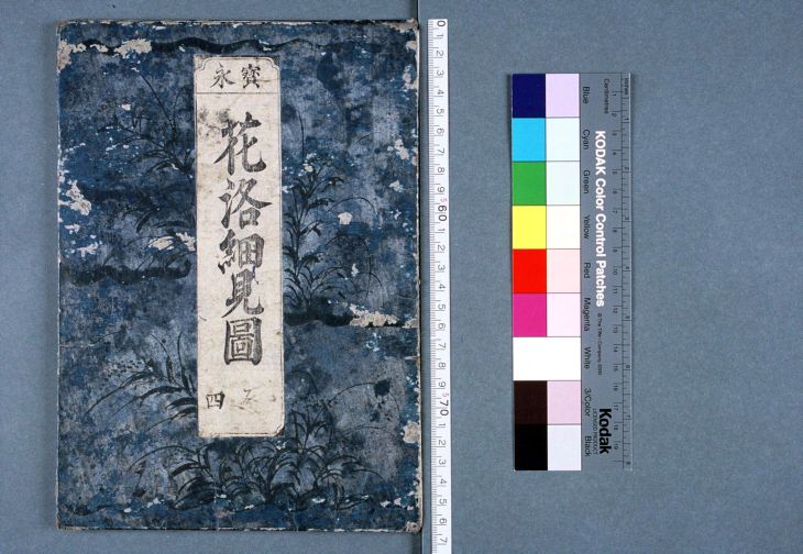 ファイル:Origin of the Cave Door Dance (Amaterasu) by